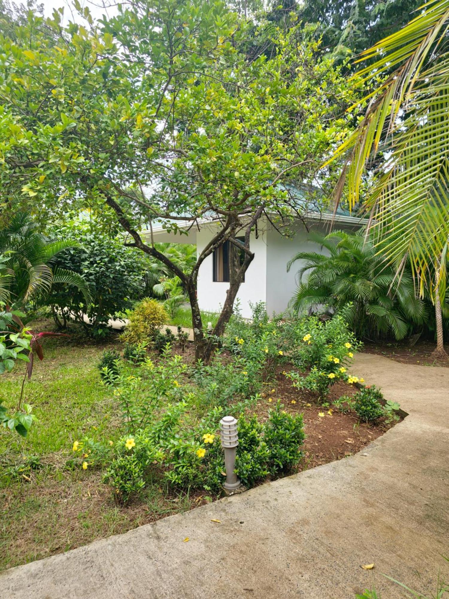 Buddha Hotel y Restaurante 100mts de playa Sanjuanillo San Juanillo Exterior foto